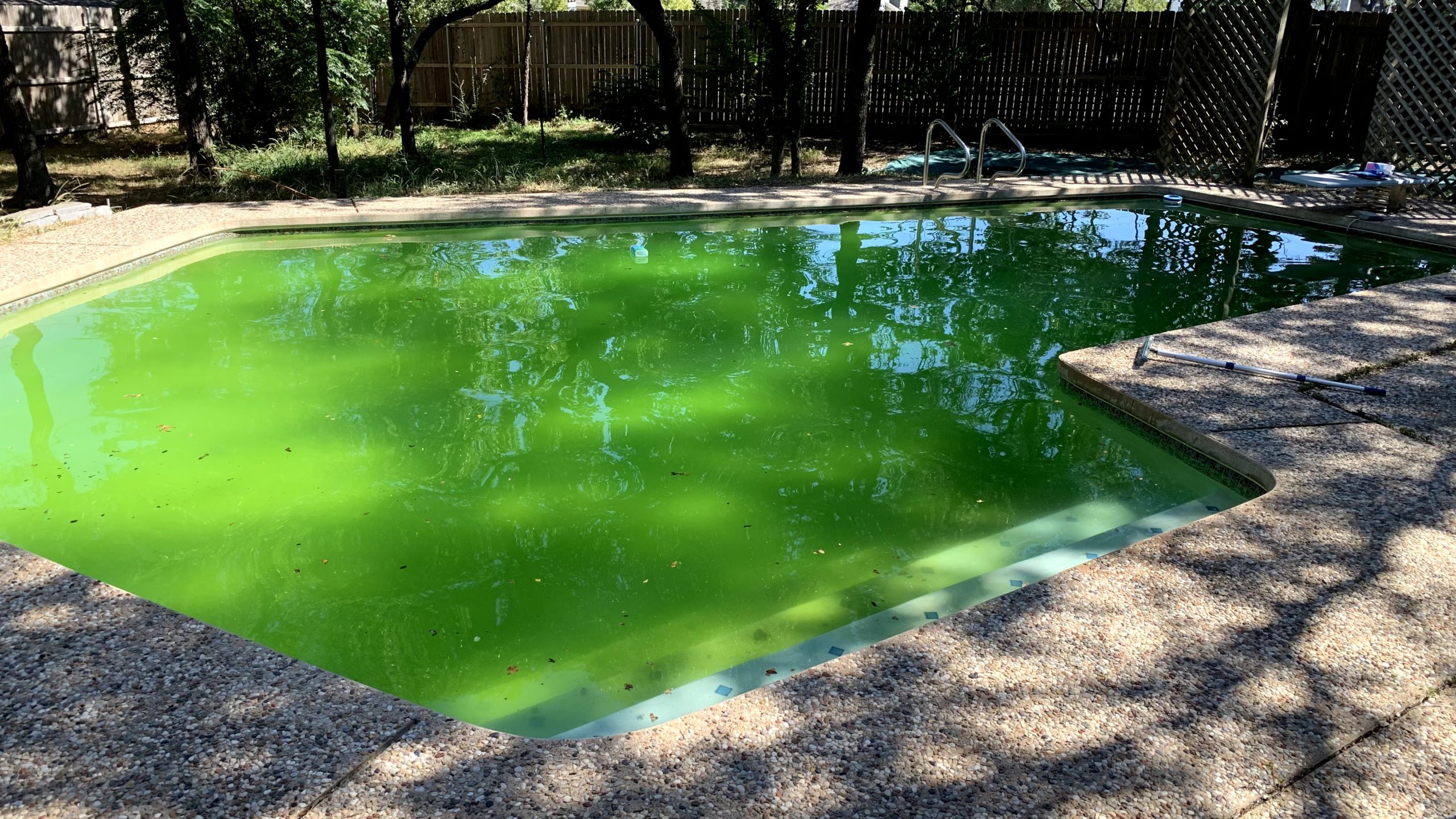 Pool Pump and Filter Repair